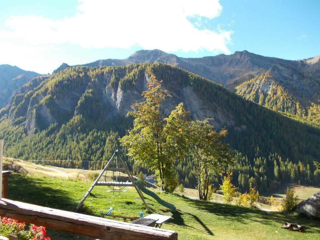 Le Grand Tetras Saint-Vérand